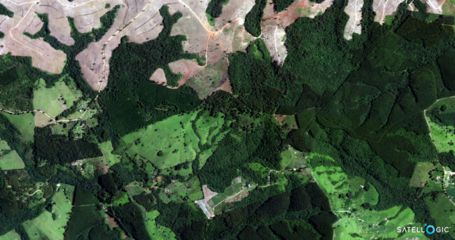 Forestry Mapping